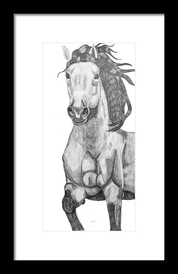 Paint Horse Framed Print featuring the drawing Buckskin horse portrait by Equus Artisan