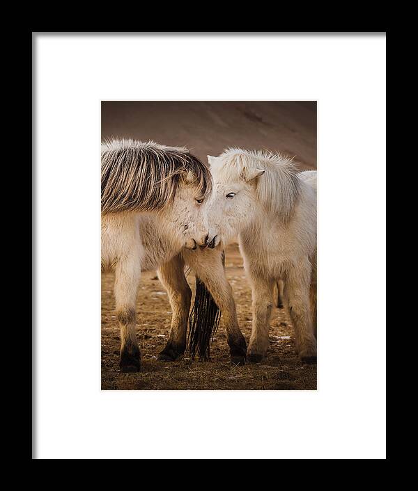 Animal Framed Print featuring the photograph Buddy by Ling Zhang