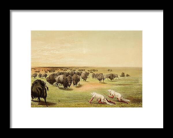 George Catlin Framed Print featuring the painting Buffalo Hunt Under the White Wolf Skins by George Catlin