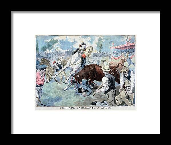 Horse Framed Print featuring the drawing Bullfight Incident, Arles, France by Print Collector
