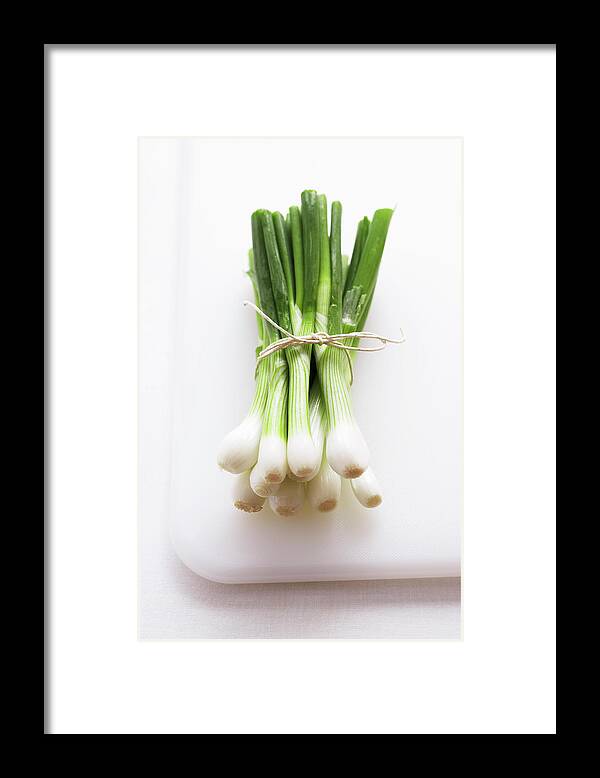 White Background Framed Print featuring the photograph Bunch Of Spring Onions On White by Martin Poole