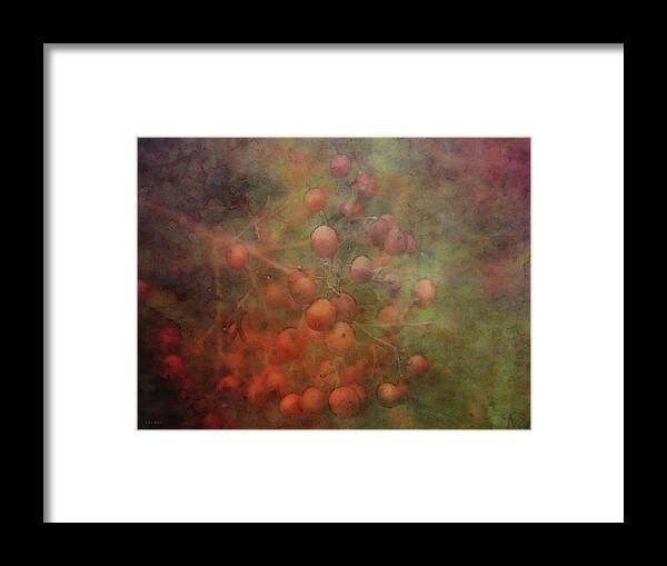 Impressionist Framed Print featuring the photograph Burnished Berries 5615 IDP_2 by Steven Ward