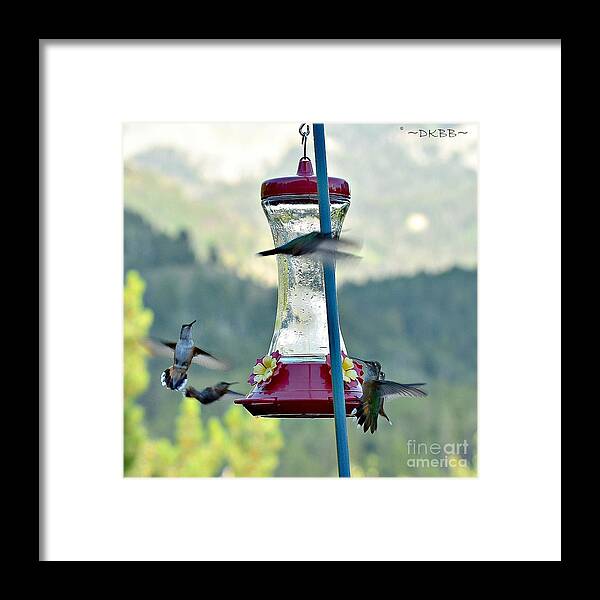 Hummingbirds Framed Print featuring the photograph Busy Time at the Feeder by Dorrene BrownButterfield