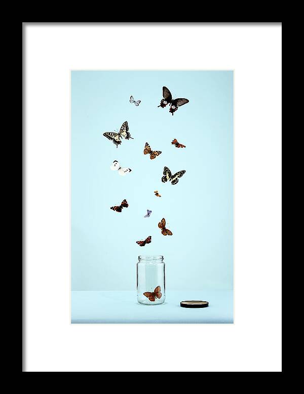 Animal Themes Framed Print featuring the photograph Butterflies Escaping From Jar by Martin Poole
