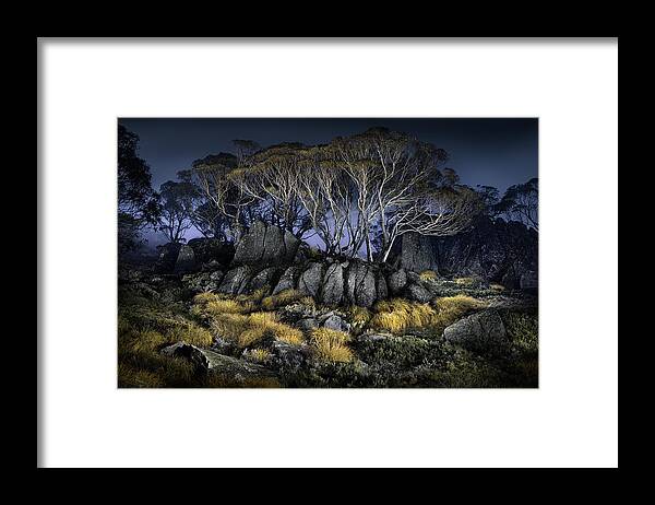 Lightpainting Framed Print featuring the photograph Button Grass - Charlotte's Pass by Francis Keogh