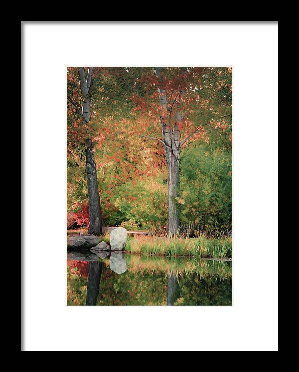 Autumn Colors Framed Print featuring the photograph By the Pond by Don Schwartz