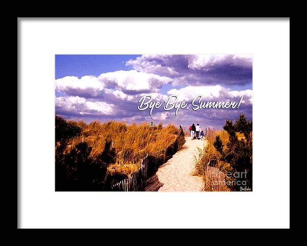  Framed Print featuring the photograph Bye Bye, Summer by Steve Ember