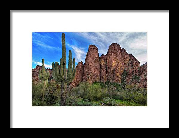 Saguaro Framed Print featuring the photograph Cactus and Goldfield Mountains by Dave Dilli