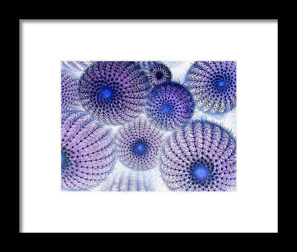 Purple Framed Print featuring the photograph Cactus - Cacti In Negative Effect by Brenda Foran