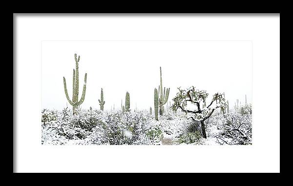 Snow Framed Print featuring the photograph Cactus in the Snow by Jean Clark