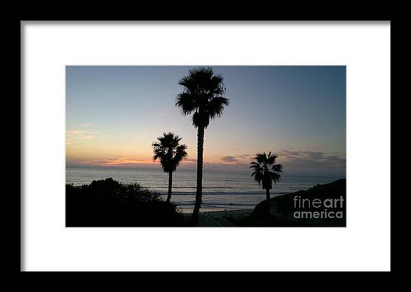 California Coast Beach Sunset Sun Set Fan Palm Tree San Diego Framed Print featuring the photograph North San Diego by Lee Antle