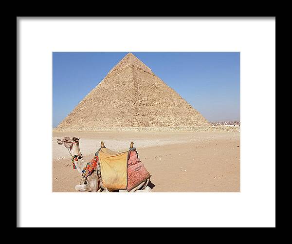Working Animal Framed Print featuring the photograph Camel And Classic Pyramid by Louise Bleakly