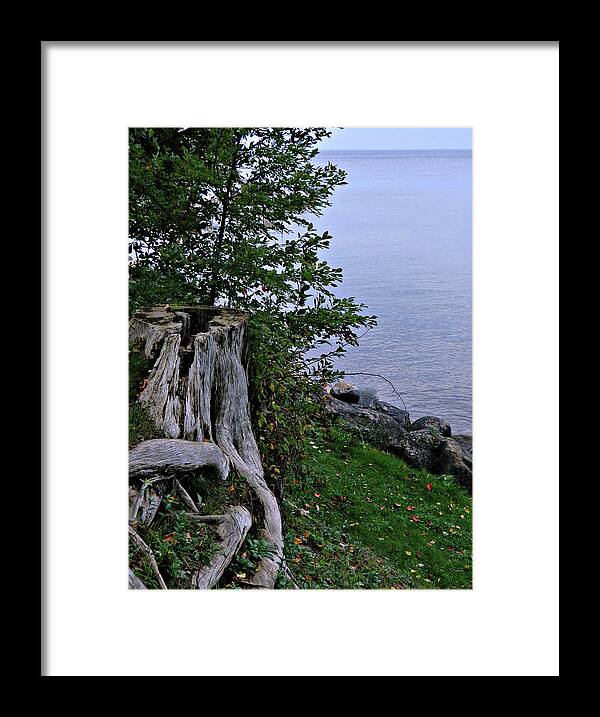 Can I Be Your Seat Framed Print featuring the photograph Can I Be Your Seat by Cyryn Fyrcyd