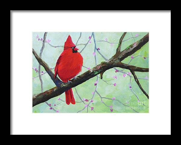 Bird Framed Print featuring the painting Cardinal on Branch by Anne Marie Brown