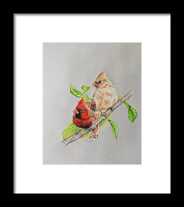 Cardinal Framed Print featuring the drawing Cardinal Pair by Karrie J Butler