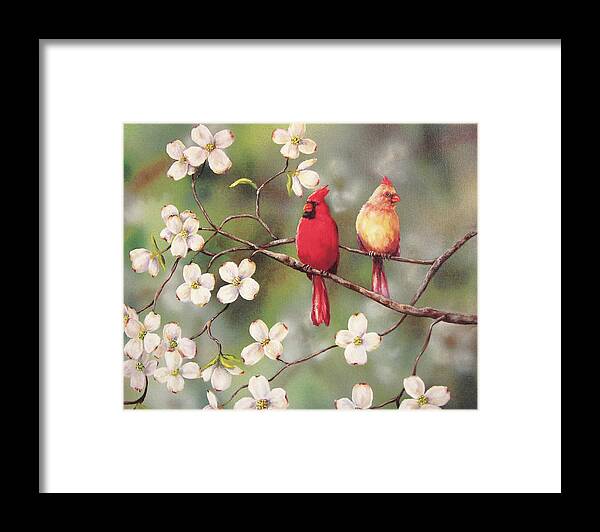 2 Birds On Dogwood Tree Branch Framed Print featuring the painting Cardinals by Sarah Davis