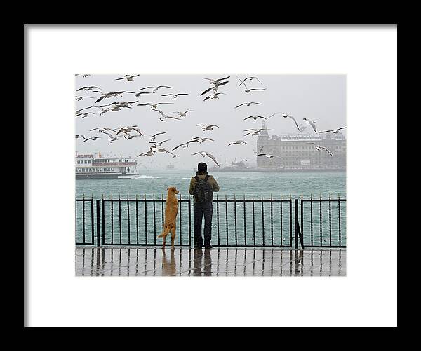 Everyday Framed Print featuring the photograph Care by Ibrahim Canakci