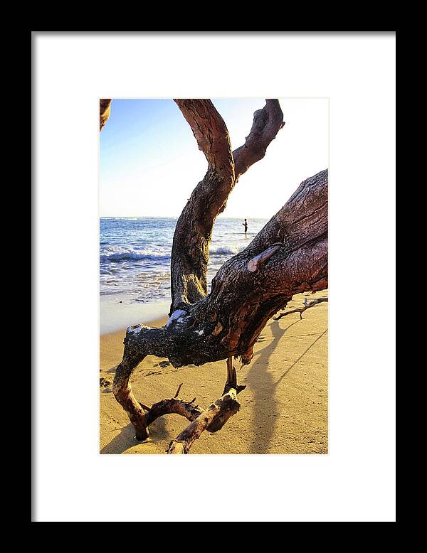 Beach Framed Print featuring the photograph Casting Off by Bari Rhys