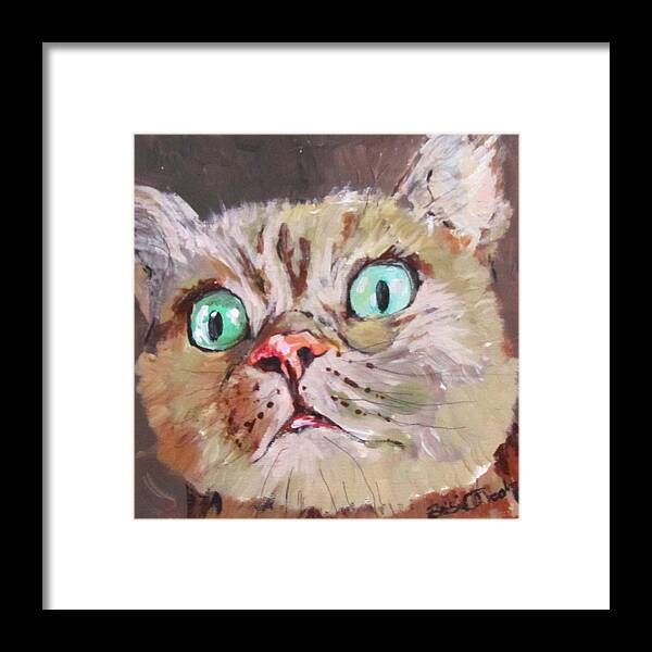 Cat Framed Print featuring the painting CAT What do you see by Barbara O'Toole