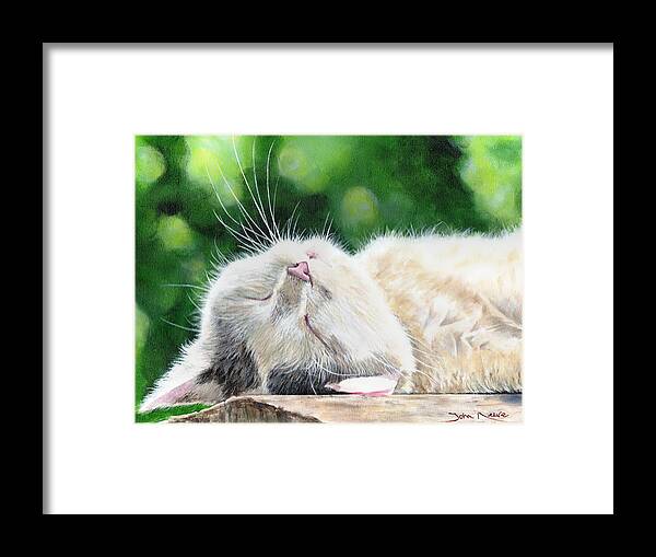 Cat Framed Print featuring the painting Catnap by John Neeve