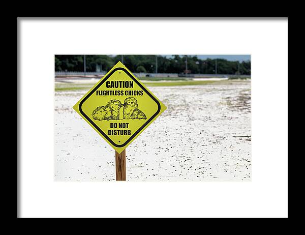 Least Tern Framed Print featuring the photograph Caution Sign - Least Tern Breeding Area by Susan Rissi Tregoning