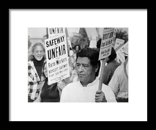 Employment And Labor Framed Print featuring the photograph Cesar Chavez Leading Strike by Bettmann