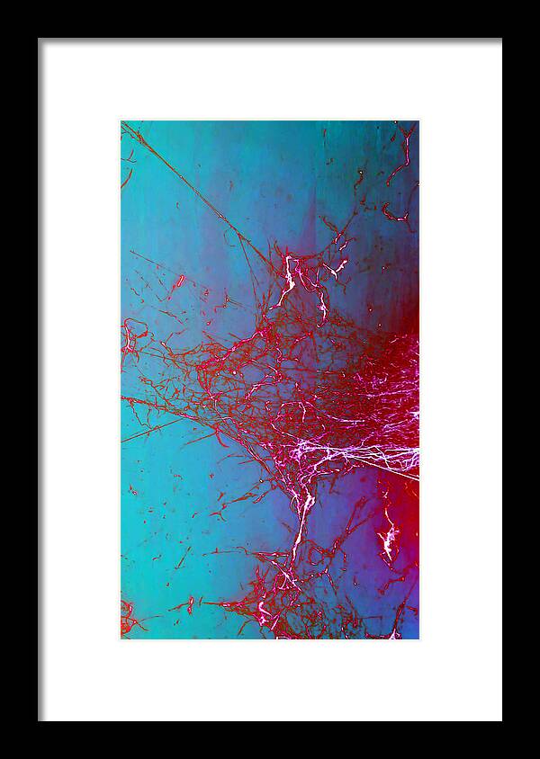 Abstract Framed Print featuring the photograph Charlotte's Pollack by Judy Kennedy