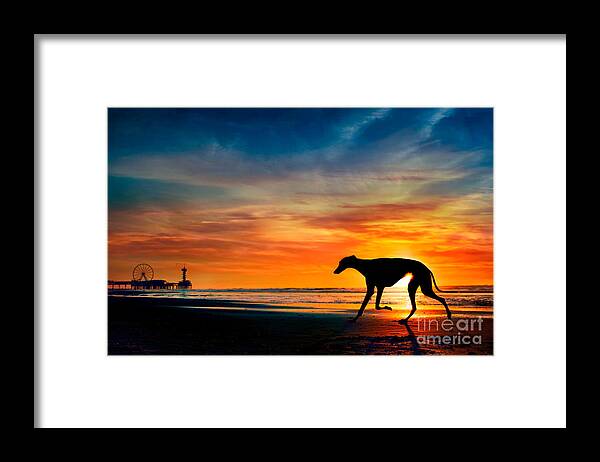 Sun Framed Print featuring the photograph Silhouette of dog on beach sunset by Travis Patenaude
