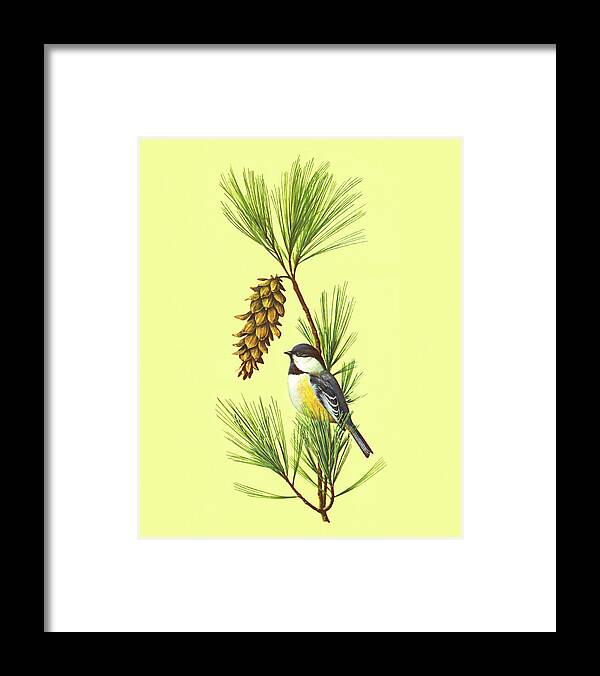Animal Framed Print featuring the drawing Chickadee Perched on a Branch by CSA Images