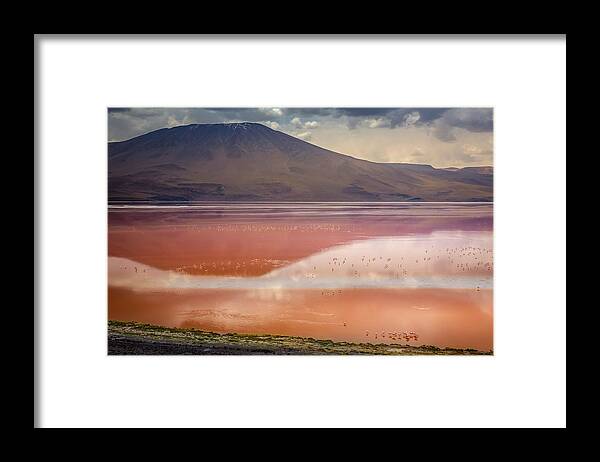 Landscapes Framed Print featuring the photograph Chilean Flamingos And Laguna Colorada by Travelart