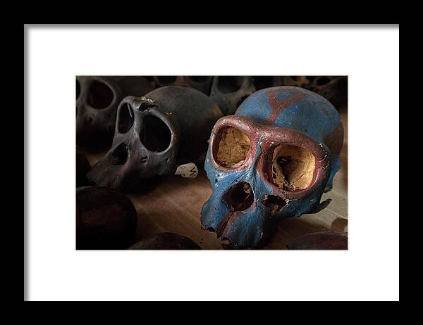 Gerry Ellis Framed Print featuring the photograph Chimpanzee Skulls by Gerry Ellis