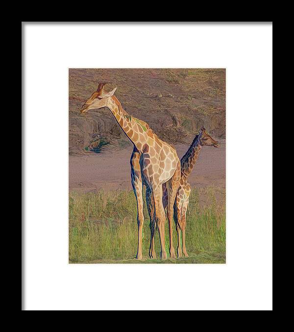  Framed Print featuring the photograph Chobe Giraffes, Painterly by Marcy Wielfaert