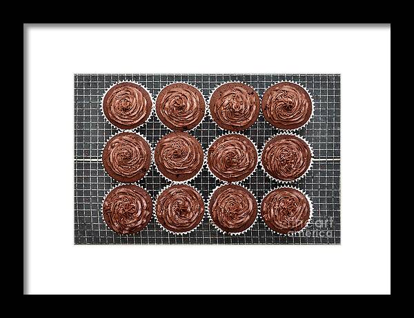 Chocolate Cupcakes Framed Print featuring the photograph Chocolate Cupcakes by Tim Gainey