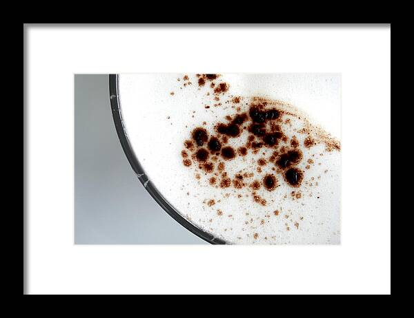 Milk Framed Print featuring the photograph Chocolate Powder by Luigi Masella