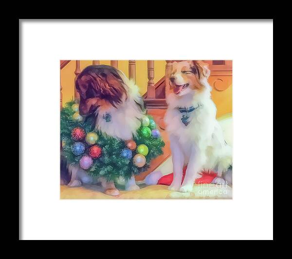 Dogs Framed Print featuring the photograph Christmas Aussies by Cathy Donohoue