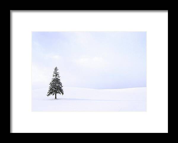 Scenics Framed Print featuring the photograph Christmas Tree by Wallacefsk