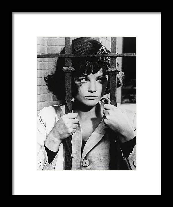 Claudia Cardinale Framed Print featuring the photograph CLAUDIA CARDINALE in BLINDFOLD -1965-. by Album