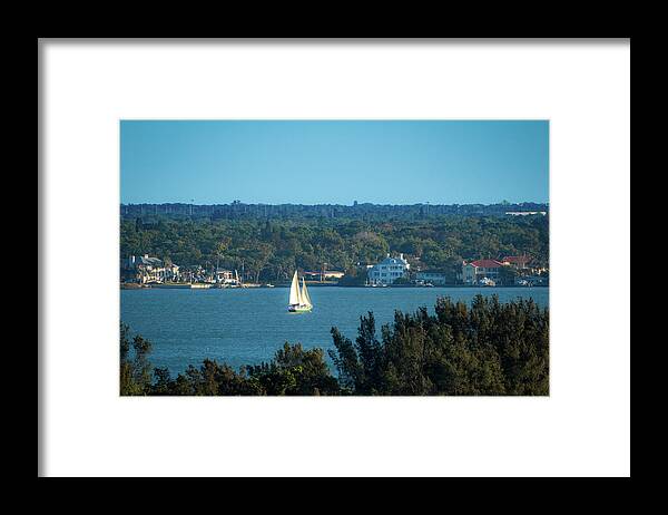 Florida Framed Print featuring the photograph Clearwater Sails by Jeff Phillippi