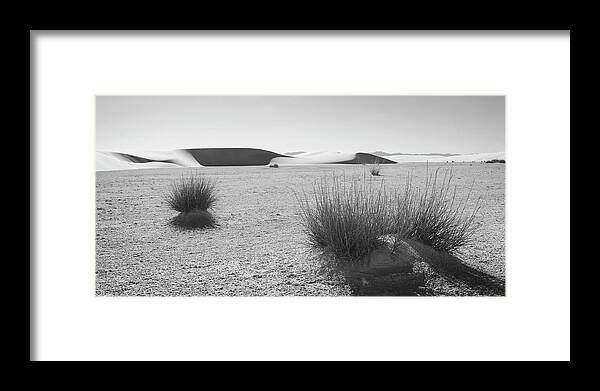 Richard E. Porter Framed Print featuring the photograph Clinging to Life - White Sands National Monument, New Mexico by Richard Porter