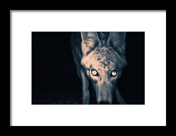 Animal Trail Framed Print featuring the photograph Close Enough? by Judy Kennedy