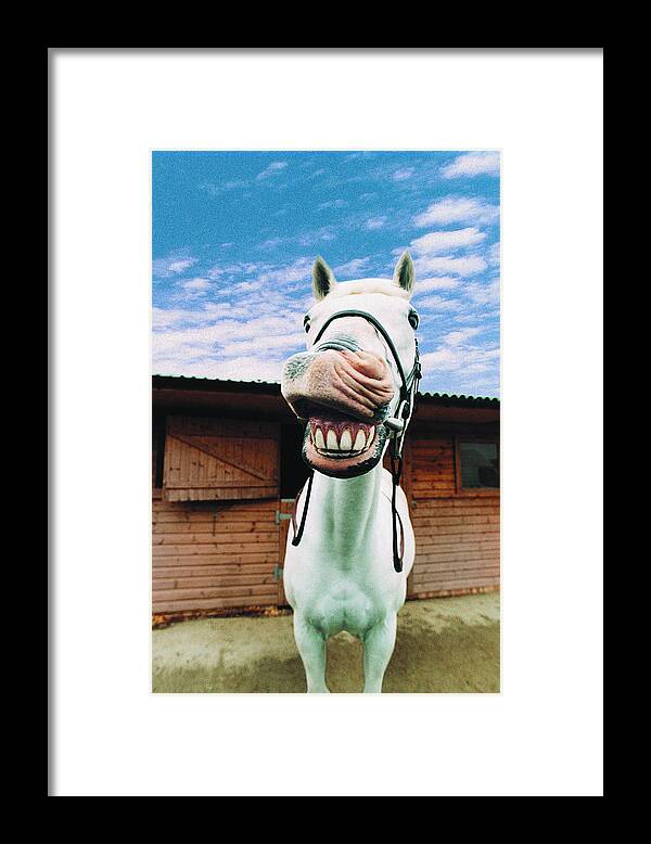 Horse Framed Print featuring the photograph Close-up Of Horse With Mouth Open by Digital Vision.