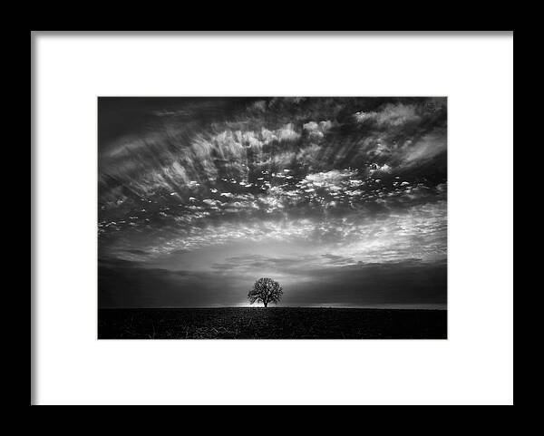 Cloud Tree Land Sunrise Framed Print featuring the photograph Cloud Parade Overhead by Little7