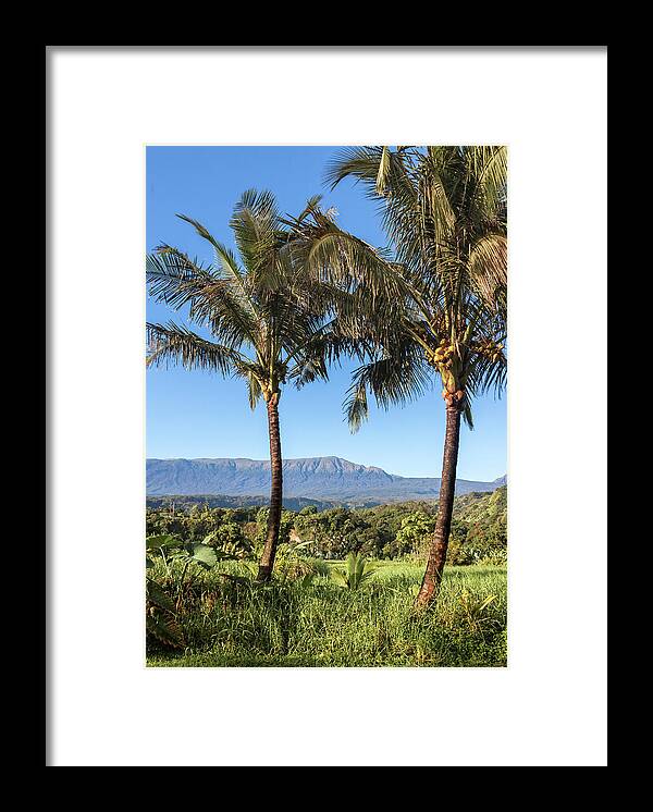 Hawaii View Framed Print featuring the photograph Coconut Hawaii View by Chris Spencer