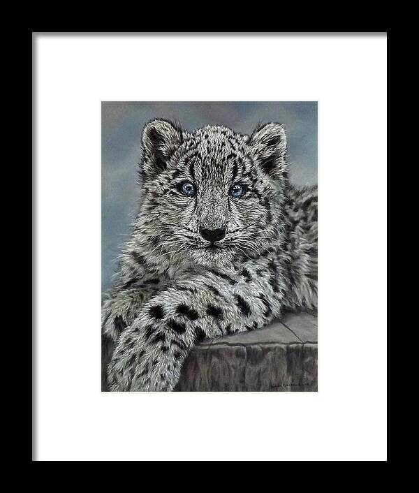 Snow Leopard Framed Print featuring the painting Coconut by Linda Becker