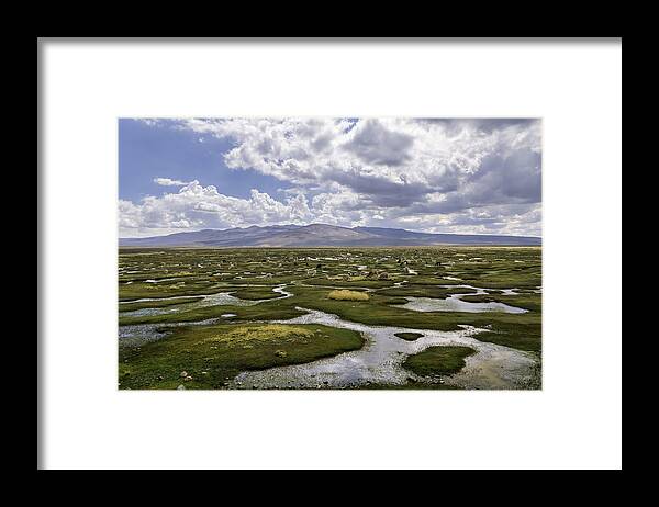 Alpacas Framed Print featuring the photograph Colca Valley by Benny Goss