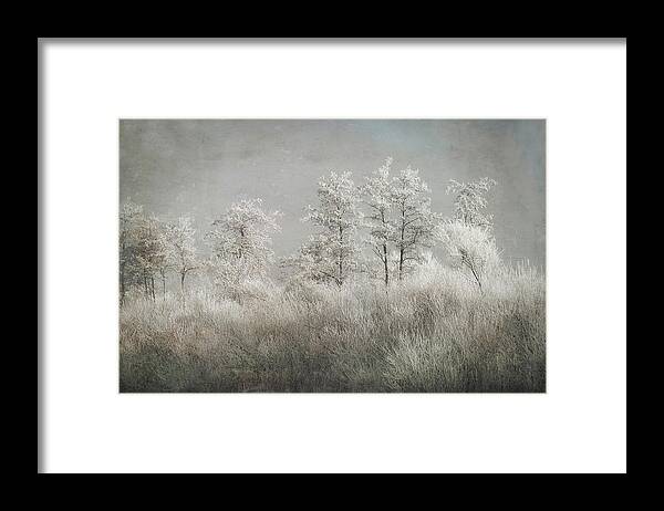 Winter Framed Print featuring the photograph Cold Morning by Nel Talen