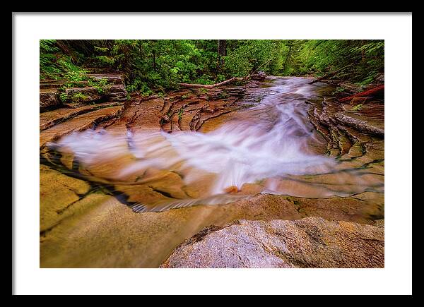 Bemis Brook Framed Print featuring the photograph Coliseum in the Forest. by Jeff Sinon