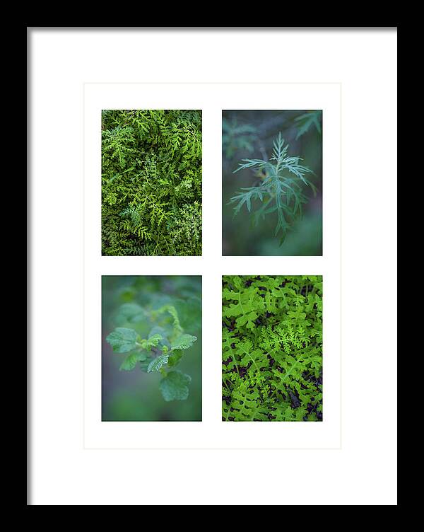 Green Framed Print featuring the photograph Collage - Sensitive to Green by Alexander Kunz