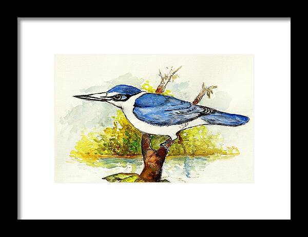 Tree Branches Framed Print featuring the painting Collared Kingfisher by Jason Sentuf