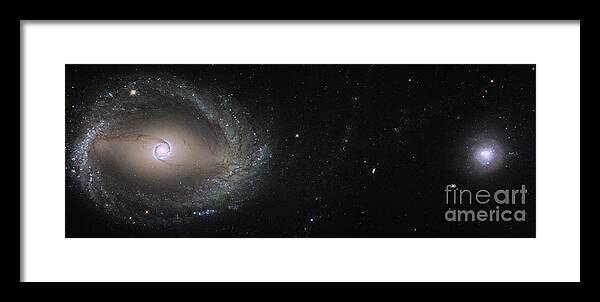 Ngc 1510 Framed Print featuring the photograph Colliding Galaxies Ngc 1512 And Ngc 1510 by Nasa/esa/hubble/stsci/science Photo Library